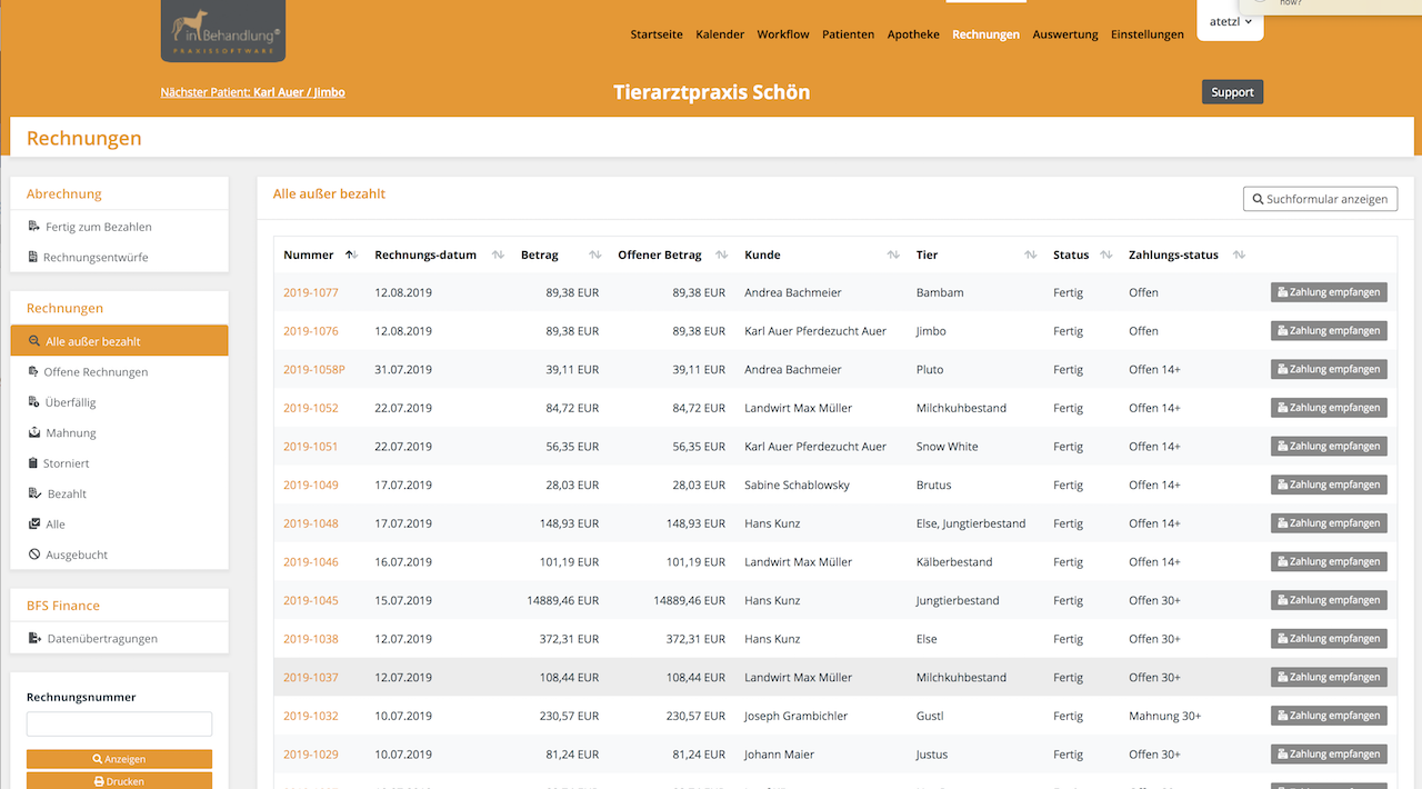 Detaillisten zu Besuchen & Rechnungen, Tierarztsoftware inBehandlung