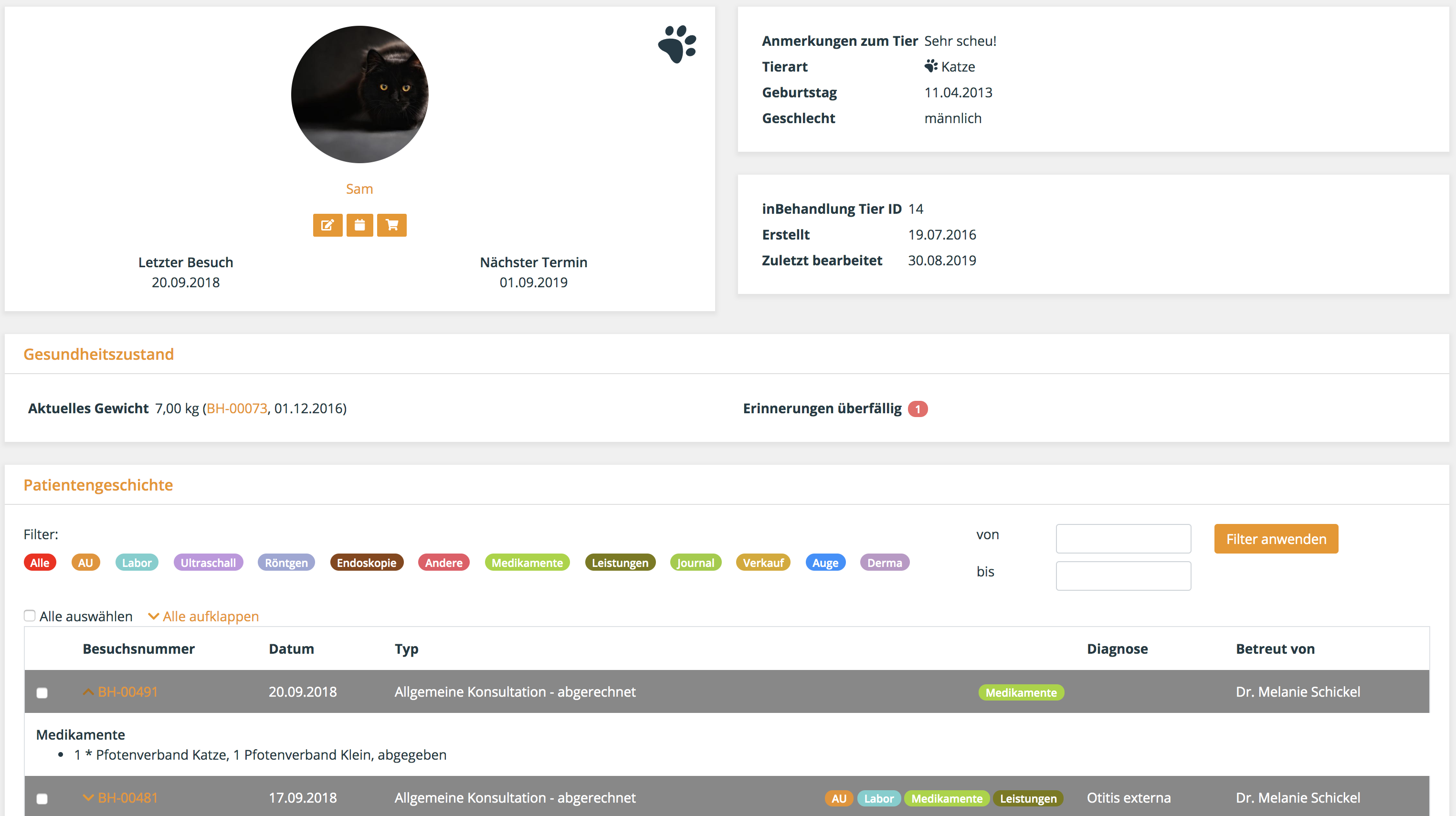 Benutzeroberfläche Tierarztsoftware inBehandlung