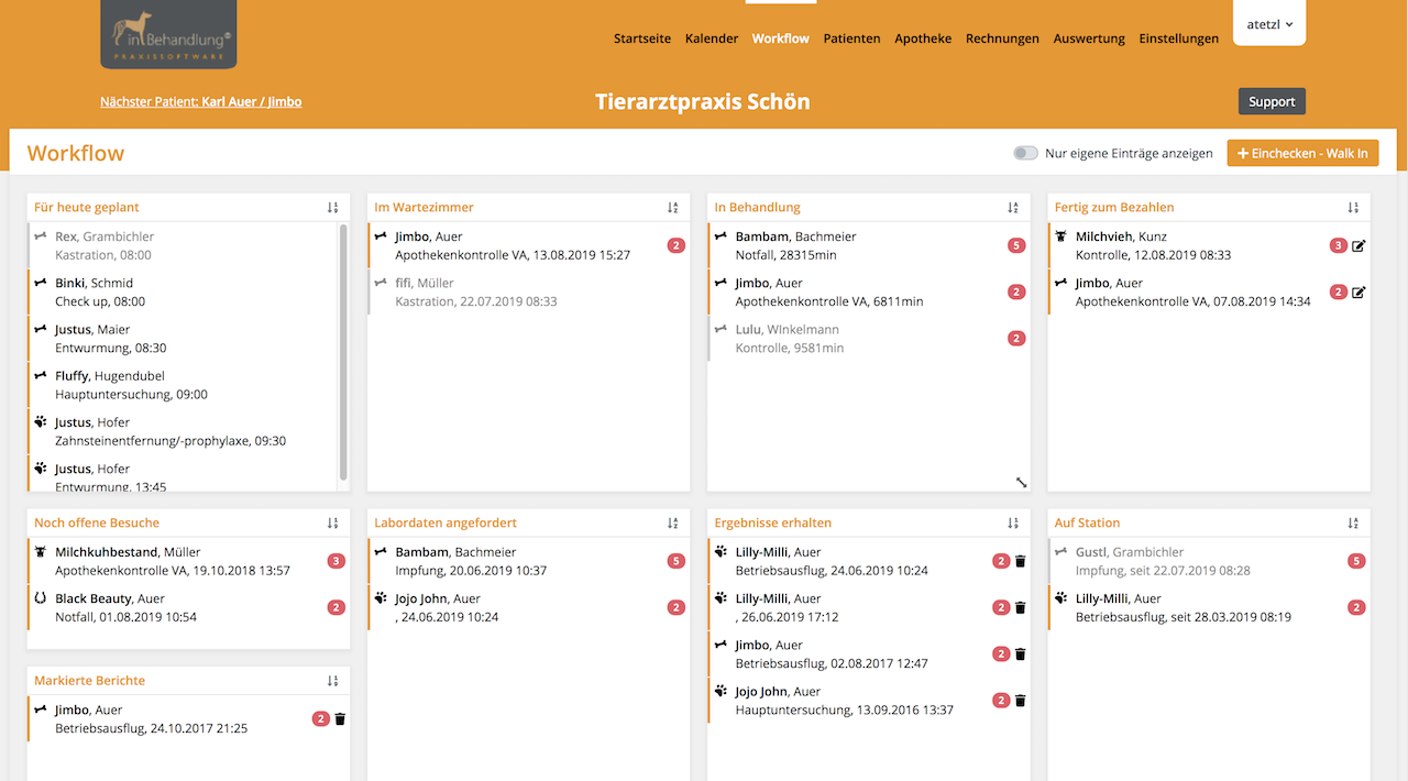 Workflow-Ansicht, Tierarztsoftware inBehandlung