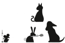 BUSINESS-Lösung von inBehandlung Tierarztsoftware