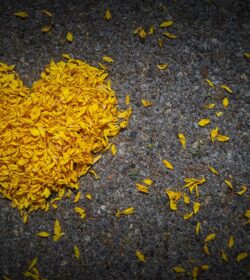 Patientenverlust in der Tierarztpraxis