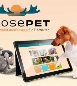 Tierarzt-App moosePET – keine zusätzliche AVV/DSE notwendig