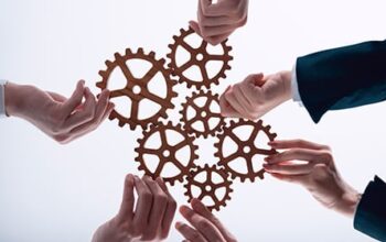 Persönlichkeitstypen in der Tierarztpraxis