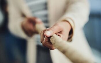 Konflikte in der Tierarztpraxis