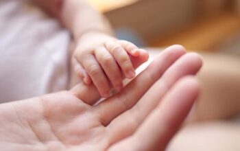 Mutterschutz Tierarzt