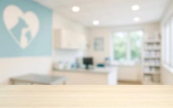 Markenaufbau Branding Tierarztpraxis