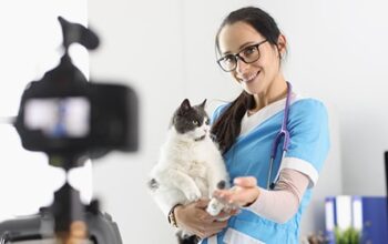 Social-Media-Marketing für Tierarztpraxen