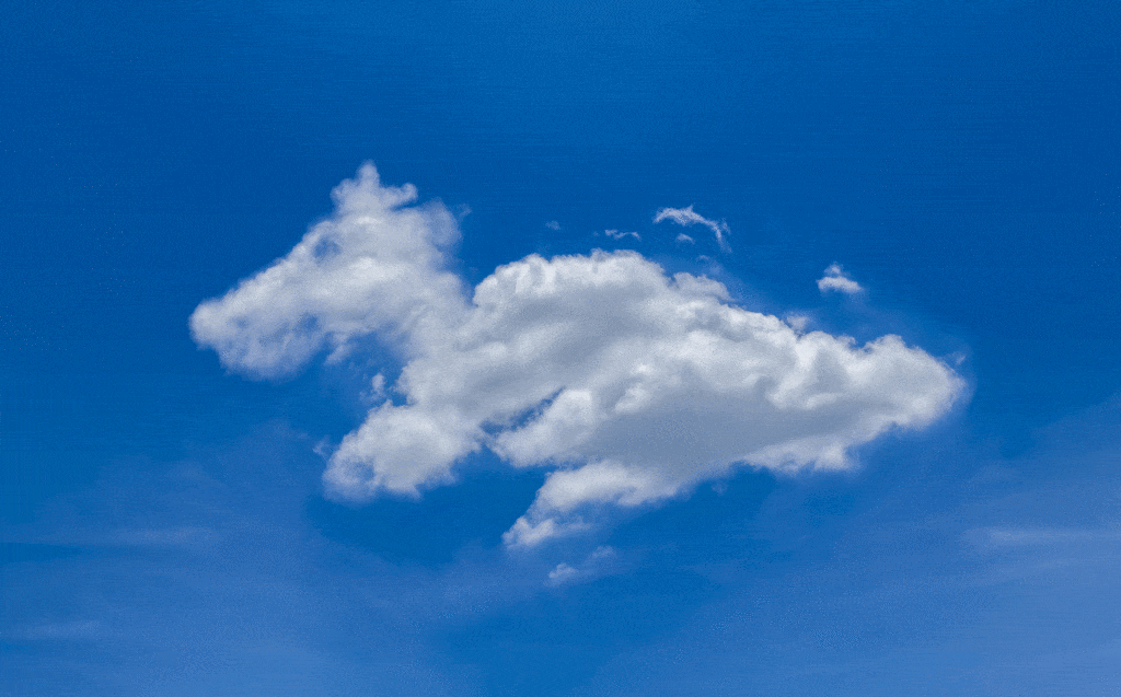 Cloudbasierte Vs Serverbasierte Tierarztsoftware