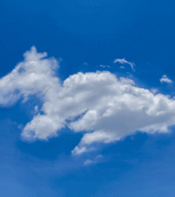 Cloudbasierte Vs Serverbasierte Tierarztsoftware