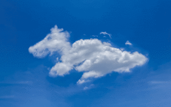 Cloudbasierte Vs Serverbasierte Tierarztsoftware