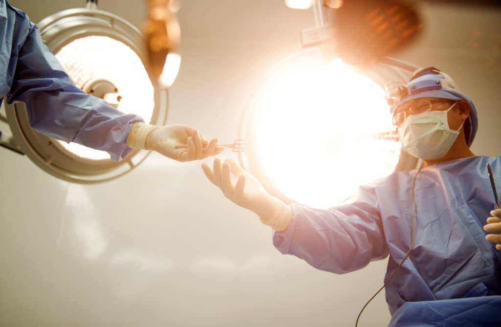 Auslandsabrechnung für Tierärzte: 0 % Steuer korrekt nutzen