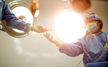 Auslandsabrechnung für Tierärzte: 0 % Steuer korrekt nutzen