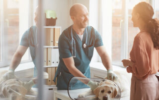 Customer Journey: Perfekter Tierarztbesuch