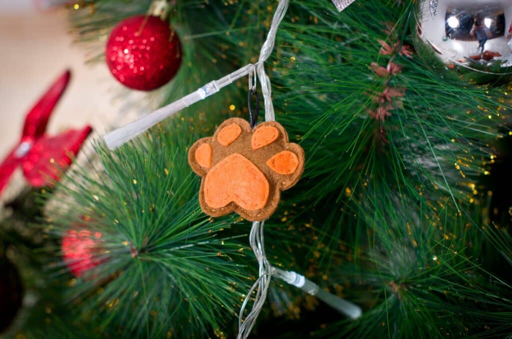 🎄✨ Frohe Weihnachten & ein gutes neues Jahr – mit einer kleinen Neuerung für Sie