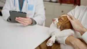 Digitale Patientenakte