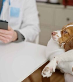 Digitale Patientenakte Digitale Patientenakte