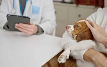 Digitale Patientenakte