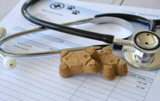 Effizientes Cashmanagement in der Tierarztpraxis: Inkasso-Schnittstelle