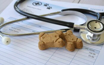 Effizientes Cashmanagement in der Tierarztpraxis: Inkasso-Schnittstelle